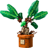 Plante à potion magique LEGO Harry Potter : Mandragore, jouet plante en pot, cadeau magique pour filles, garçons et tous les fans, ensemble de jeu imaginatif pour enfants, décoration de la maison 76433 Jeux de construction Besuche den LEGO-Store