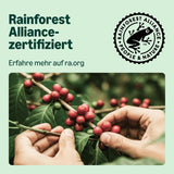 by Amazon Lungo Capsules de café en aluminium, compatibles avec Nespresso, avec des tasses, 100 pièces (5 paquets avec 20 pièces) – Certifié Rainforest Alliance