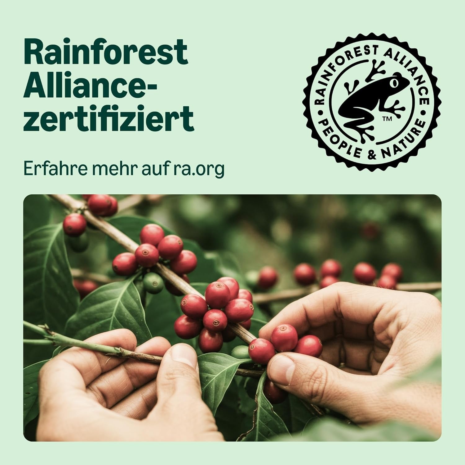 by Amazon Lungo Capsules de café en aluminium, compatibles avec Nespresso, avec des tasses, 100 pièces (5 paquets avec 20 pièces) – Certifié Rainforest Alliance