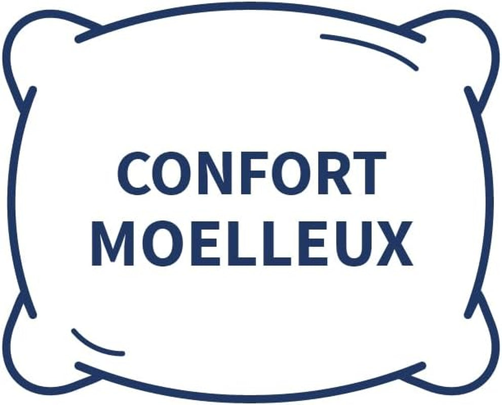 Bleu Câlin Home Collection Lot de 4 oreillers Cliniguard Anti-Acariens Blanc 60X60 Cm Oreillers standards Naty Shop