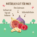 Porridge Allos non sucré aux figues et framboises | Porridge sans sucre | Muesli biologique | Muesli aux fruits | Gruau | Bouillie pour le petit déjeuner | Céréales pour le petit déjeuner | Végétalien | Paquet de 6 (6x500g)