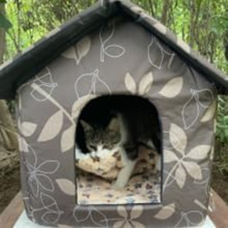 Couvertures et meubles, Animaux, Grottes et maisons, Chats, Lits pour chats, Chats - lits, matelas