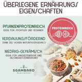 Pâtes bio Trivelline N.47 - 500g à la farine d'épeautre, farine de lentilles et farine de quinoa - Riche en protéines, source de fibres et de protéines