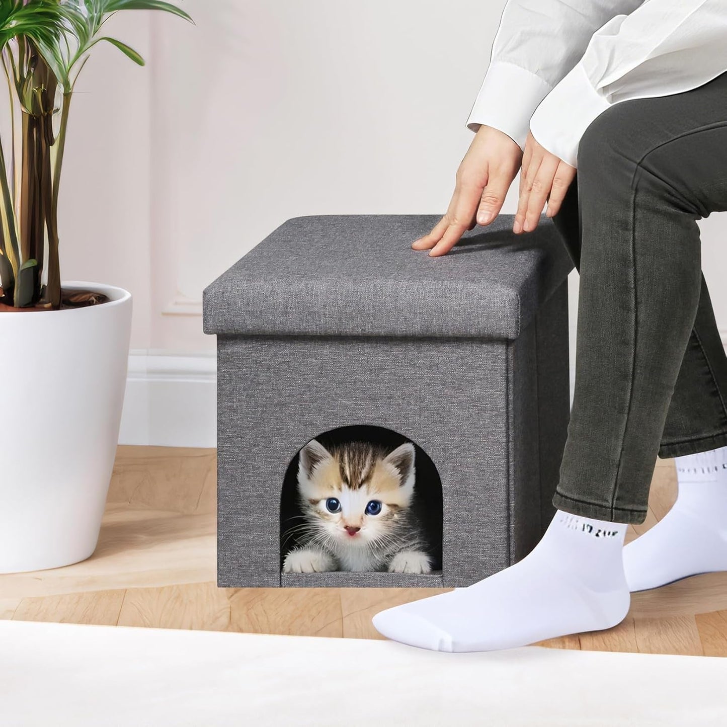 Couvertures et meubles, Animaux, Grottes et maisons, Chats, Lits pour chats, Chats - lits, matelas