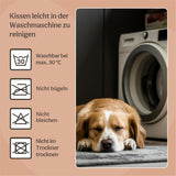 Lits et Canapés, Couvertures et Meubles, Animaux, Chats, Lits pour chats, Chats - lits, matelas