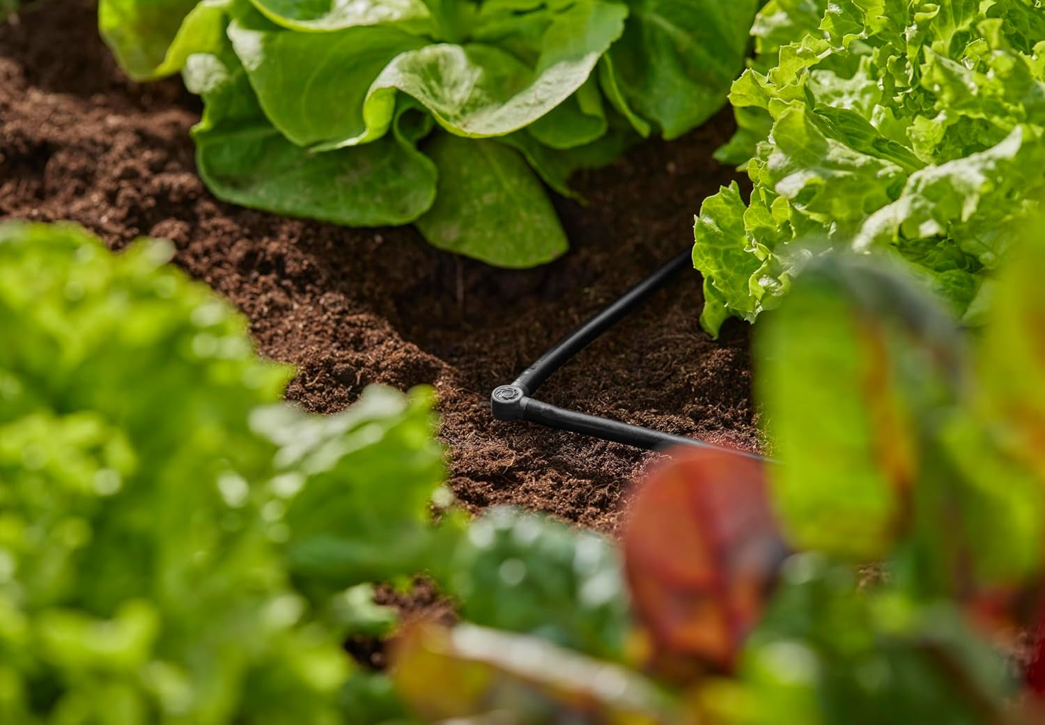 Pièce en L pour Gardena Micro-Drip 4,6 mm (3/16") : pour changer le sens de distribution et les conduites d'égouttement à 90 degrés, installation sans pli, technologie de connexion simple et flexible (13212-20)