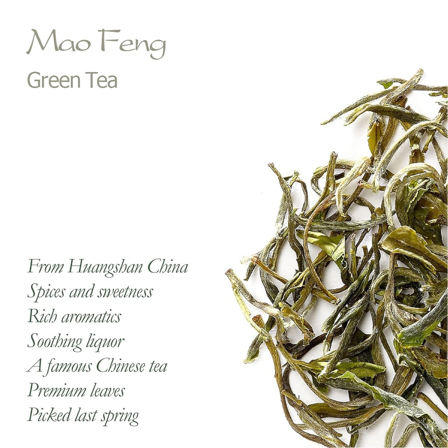 Thé vert Mao Feng Huangshan - Célèbre thé chinois de Huang Shang - Feuilles de thé vert des montagnes jaunes Maofeng Chine Thé Mao Feng Thé vert biologique Thé vert chinois Thé vert