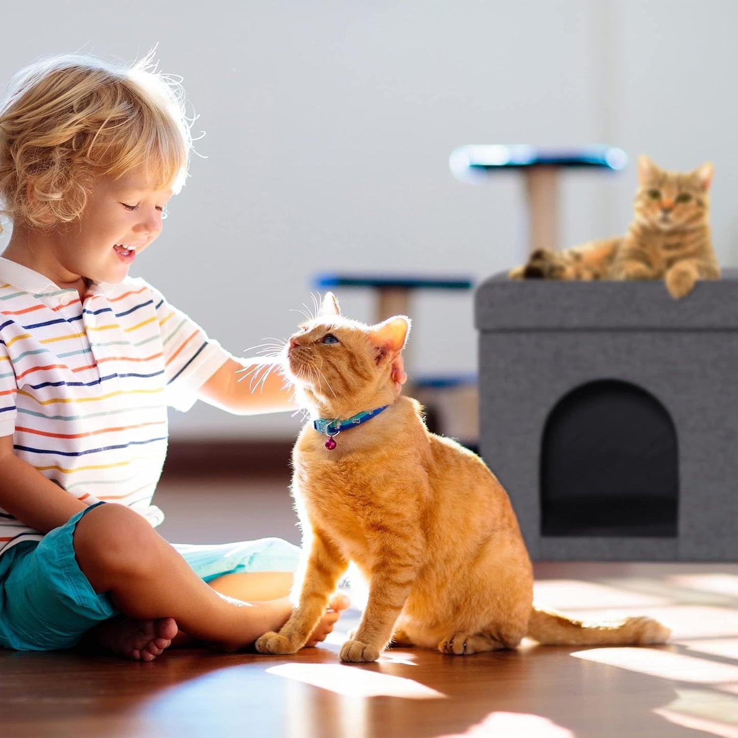 Couvertures et meubles, Animaux, Grottes et maisons, Chats, Lits pour chats, Chats - lits, matelas