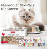 BEAPHAR – Nierendiät Mix Pack – Diätalleinfuttermittel Für Katzen Mit Chronischer Niereninsuffzienz – Zur Unterstützung Der Renenfunktion – 6X 100 g