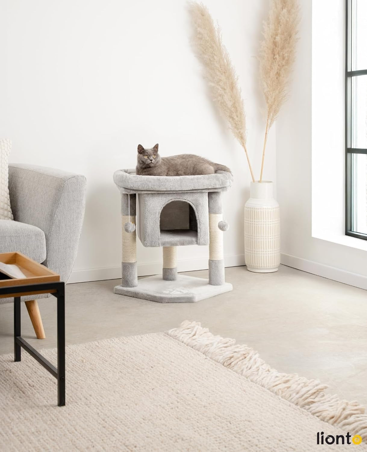 Couvertures et meubles, Animaux, Chats, Lits pour chats, Griffoir, Chats - lits, matelas