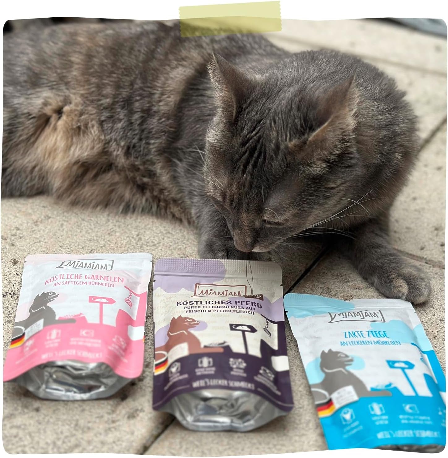 MjAMjAM - Nourriture humide de qualité supérieure pour chats - Boîte délicieuse de 12 paquets (12 x 200 g) sans céréales avec de la viande supplémentaire