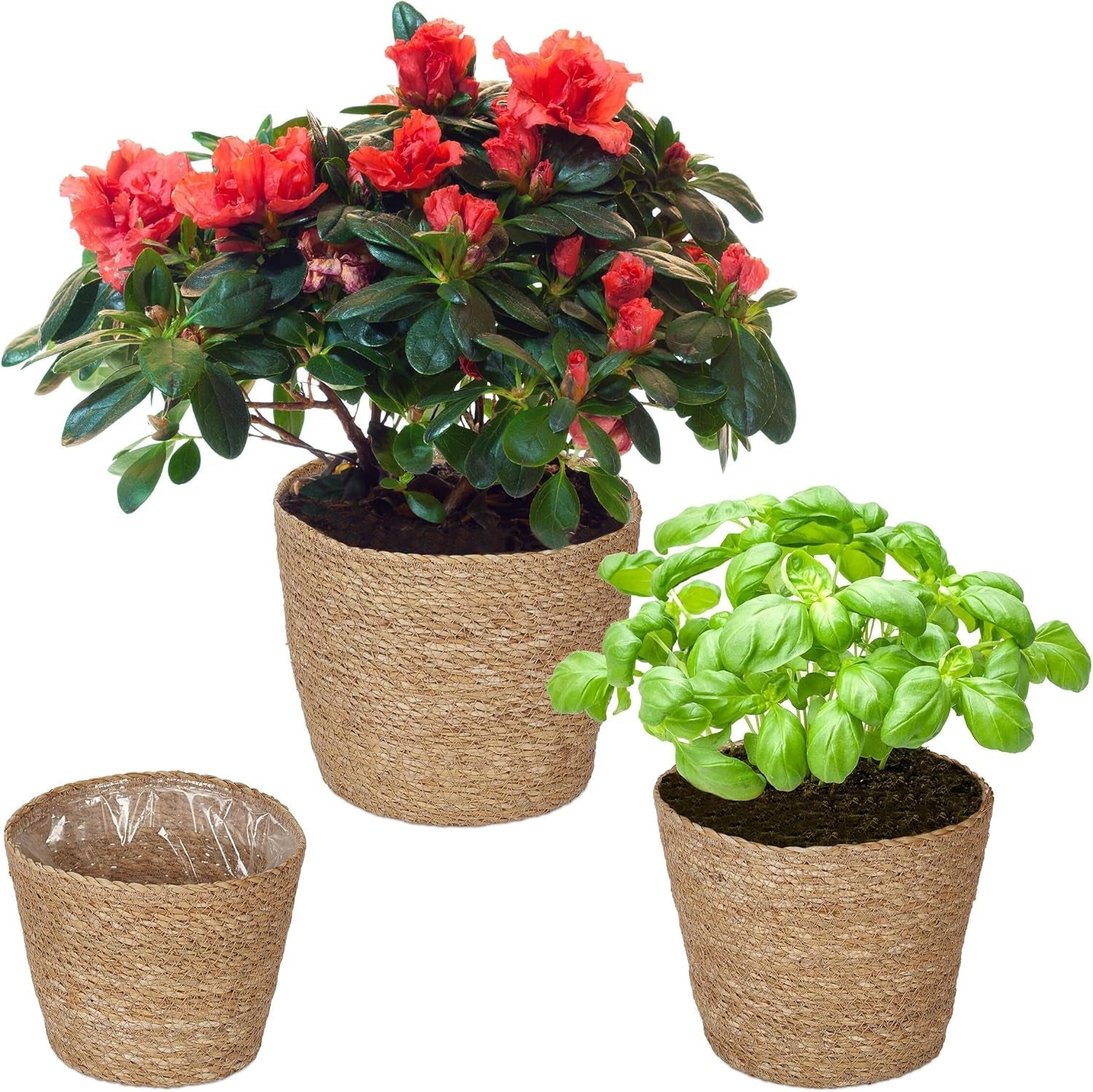 Relaxdays Lot de 3 pots de fleurs en jonc de mer, panier rond pour fleurs et herbes aromatiques, avec film plastique, 3 tailles, naturel