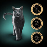 SHEBA Nourriture humide pour chats, Collection Nature's en sauce à la dinde, 2 x 11 x 85 g