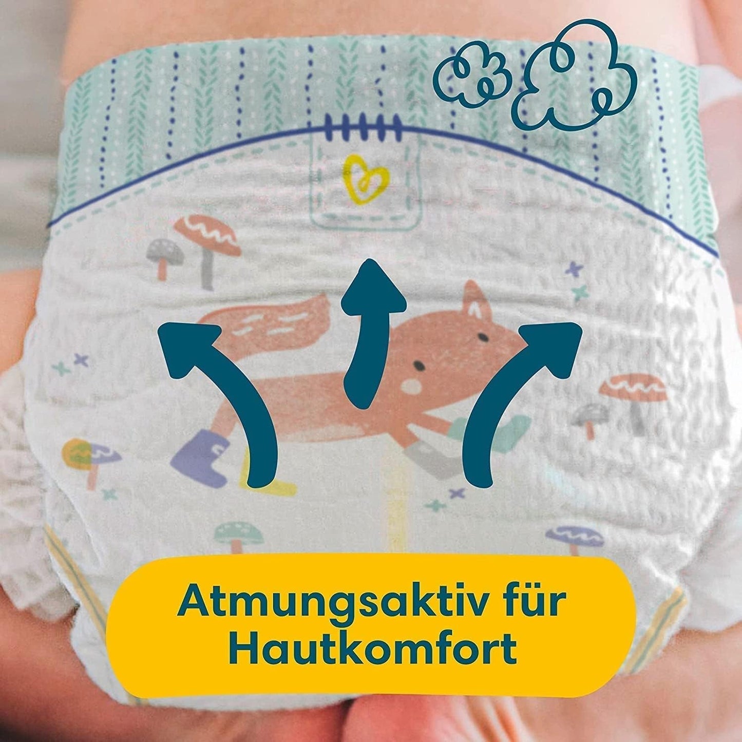 Premium Protection Starter Pack 1 et lingettes humides Aqua