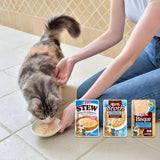 INABA Ciao Broth Nourriture humide pour chats 88% d'humidité et vitamine E, soupe premium pour chats au poulet 40g (paquet de 12), viande 100% naturelle, sans céréales, sans sucre