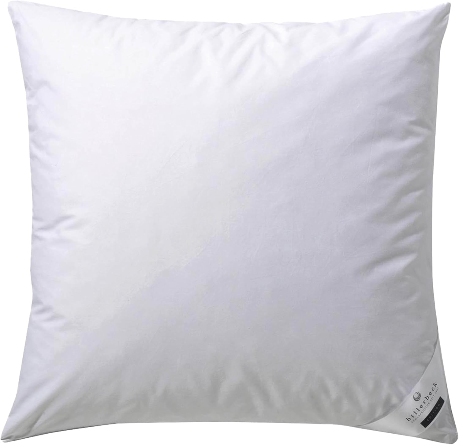 Oreiller en duvet Billerbeck Martina - Oreiller en 80 X 80 Cm - Oreiller au maintien ferme - Duvet d'oie 15% et plumes 85% Oreillers standards Naty Shop 80 X 80 Cm