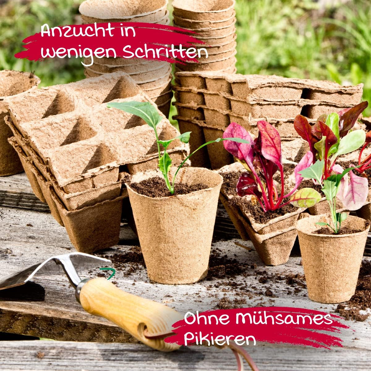 Pots de semis Windhager, 48 ​​pièces, diamètre 8 cm, marron, sans tourbe, 04343