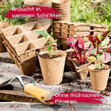 Pots de semis Windhager, 48 ​​pièces, diamètre 8 cm, marron, sans tourbe, 04343