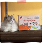 MjAMjAM - Nourriture humide de qualité supérieure pour chats - Pack bien-être au bœuf, paquet de 12 (12 x 125 g), sans céréales avec viande supplémentaire