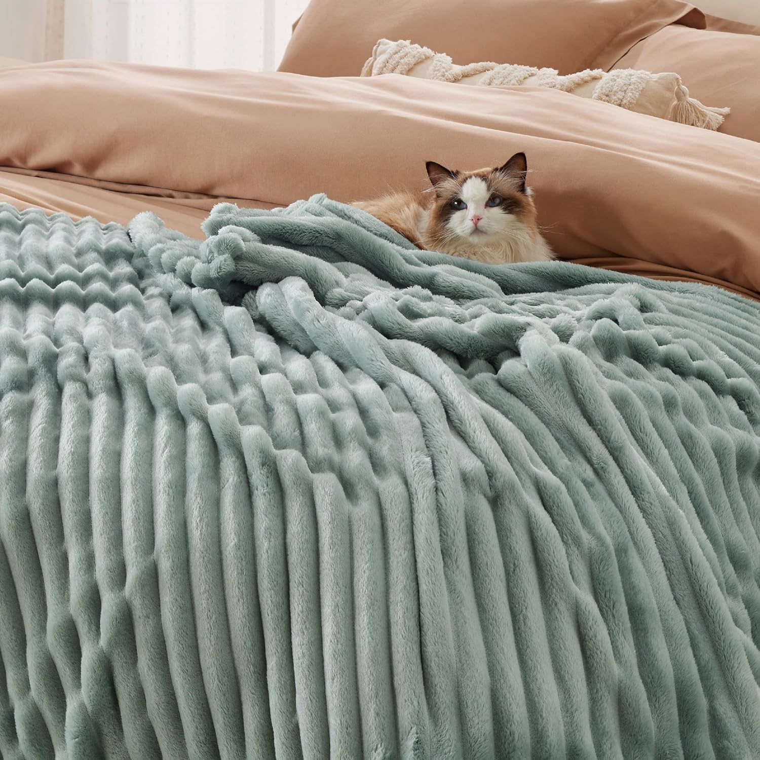 BEDSURE Couverture polaire vert sauge pour canapé – Couvertures super douces et confortables pour femmes, petite couverture mignonne pour filles, lits et couvertures 127 x 152 cm Beuche den BEDSURE-Store