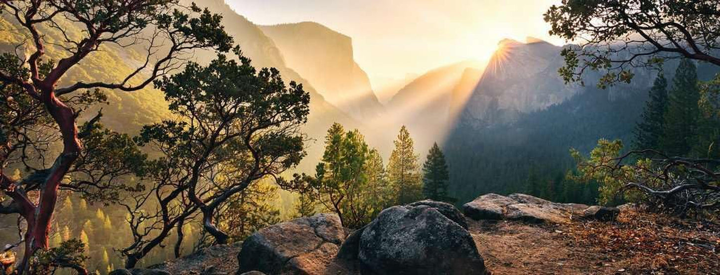 Ravensburger Puzzle 15083 - Yosemite Park - Puzzle de 1000 pièces pour adultes et enfants de plus de 14 ans au format panoramique Puzzle Naty Shop