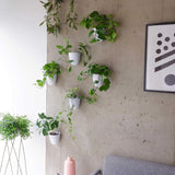 Virgo Lot de 6 pots muraux à arrosage automatique – Faciles à arroser et à installer – Légers – Créez votre propre jardin vertical – Pots muraux pour plantes d'intérieur