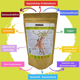 Zerocal - Poudre d'inuline de Chicorée-Wurzel 500 G | Inuline avec haut ballaststoffgehalt | 100 % végétalien et sans gluten | Herkunft Deutschland Édulcorants Naty Shop