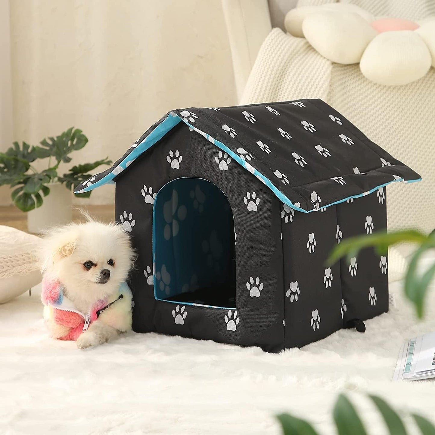 Couvertures et meubles, Animaux, Grottes et maisons, Chats, Lits pour chats, Chats - lits, matelas