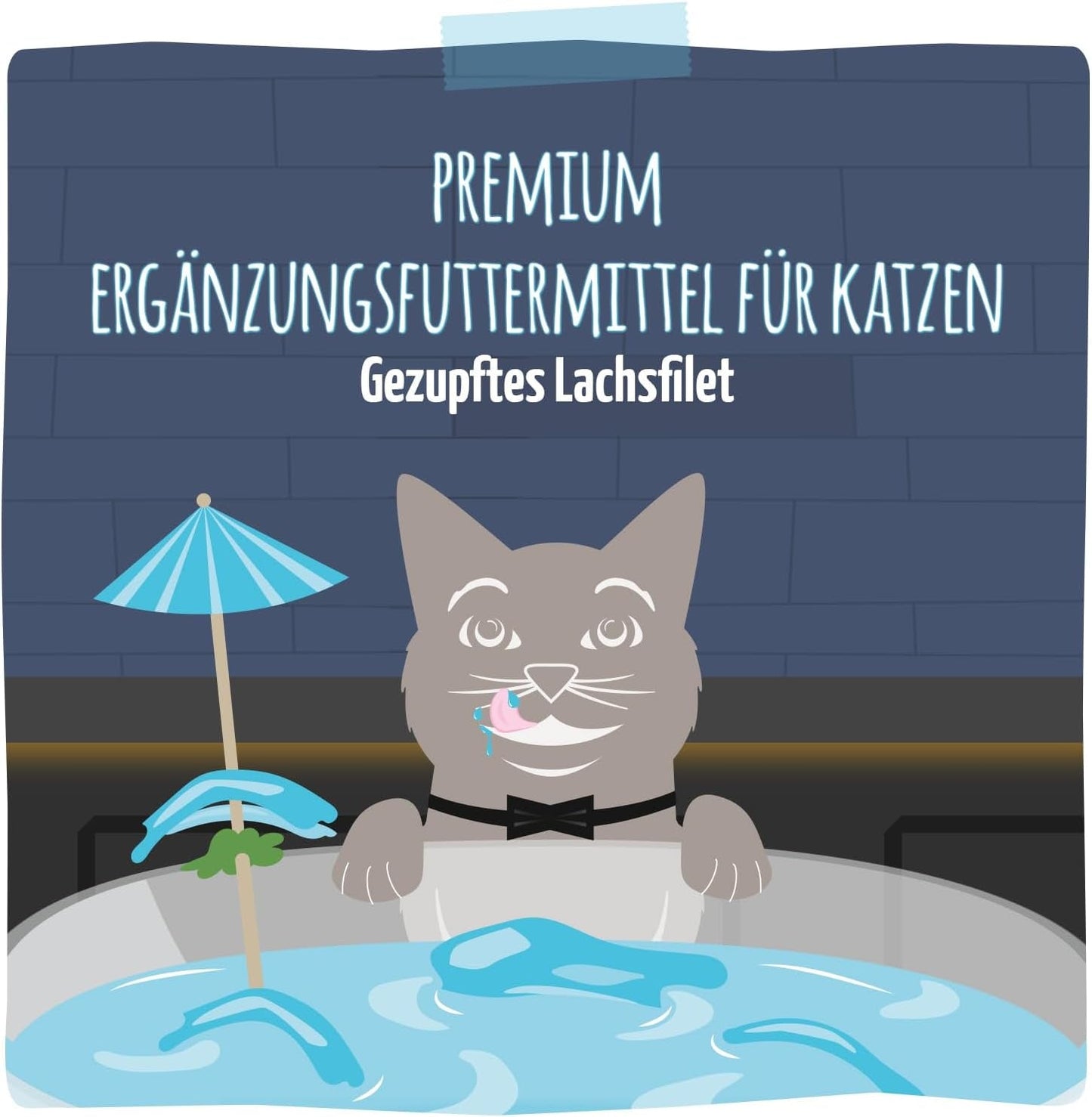 MjAMjAM - Délicieuse boisson pour chat - Cocktails - Filets de saumon effiloché, paquet de 20 (20x40), sans céréales