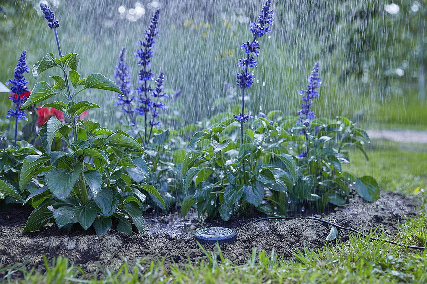 Rallonge Gardena (10 m) pour capteur de pluie et capteur d'humidité du sol, câble de connexion avec système Easy Click, extensible jusqu'à 105 m, pour utilisation hors sol et sous sol (01868-20)