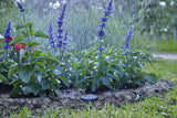 Rallonge Gardena (10 m) pour capteur de pluie et capteur d'humidité du sol, câble de connexion avec système Easy Click, extensible jusqu'à 105 m, pour utilisation hors sol et sous sol (01868-20)
