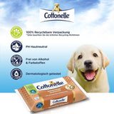 Lingettes humides, My Spa Experience - Cachemire et beurre de karité, biodégradables, sans plastique, refermables, pack économique, 12 X 42 lingettes humides