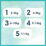 Couches Pampers pour bébé, taille 2 (4-8 kg), Harmony, boîte demi-lune, protection douce de la peau et ingrédients à base de plantes, 240 unités