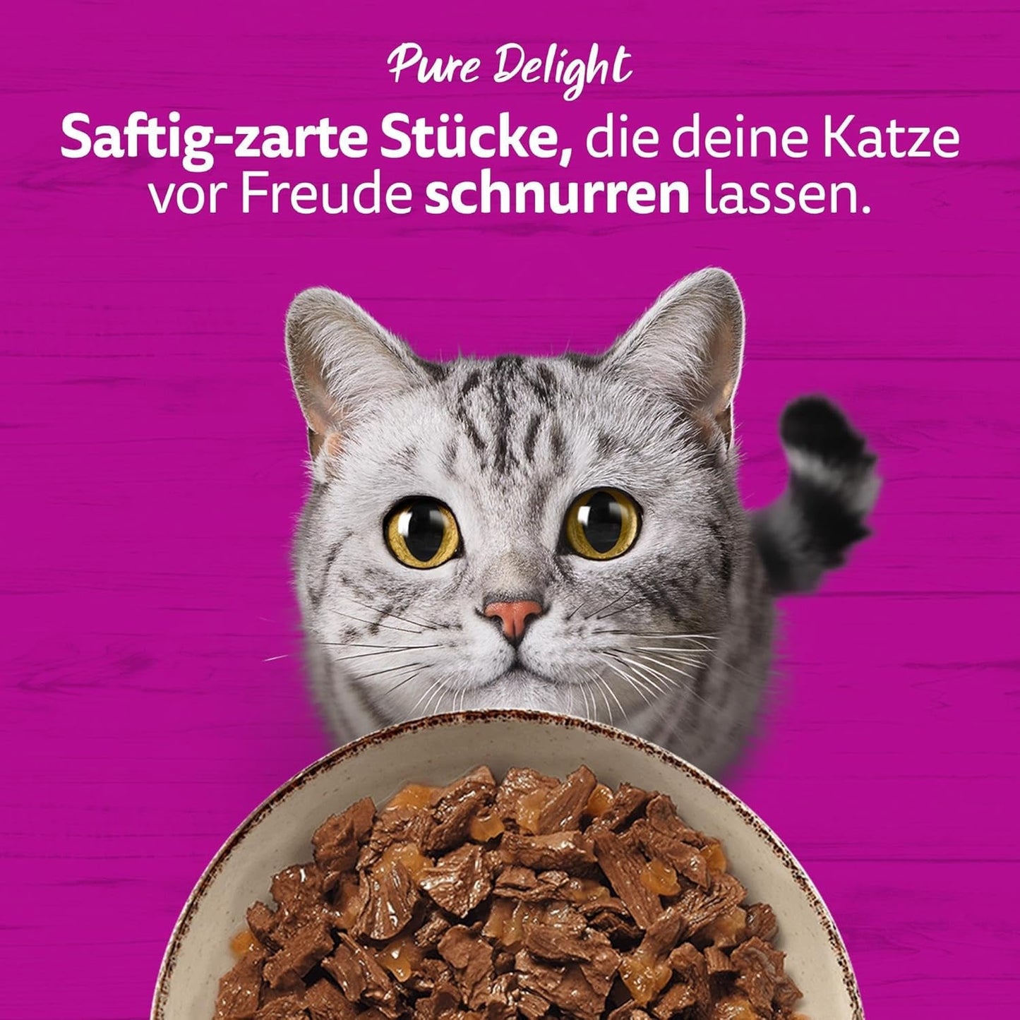 WHISKAS PURE DELIGHT Aliment humide en gelée 24 x 85g Ragoût Classique (4 paquets) 48 sachets portionnés