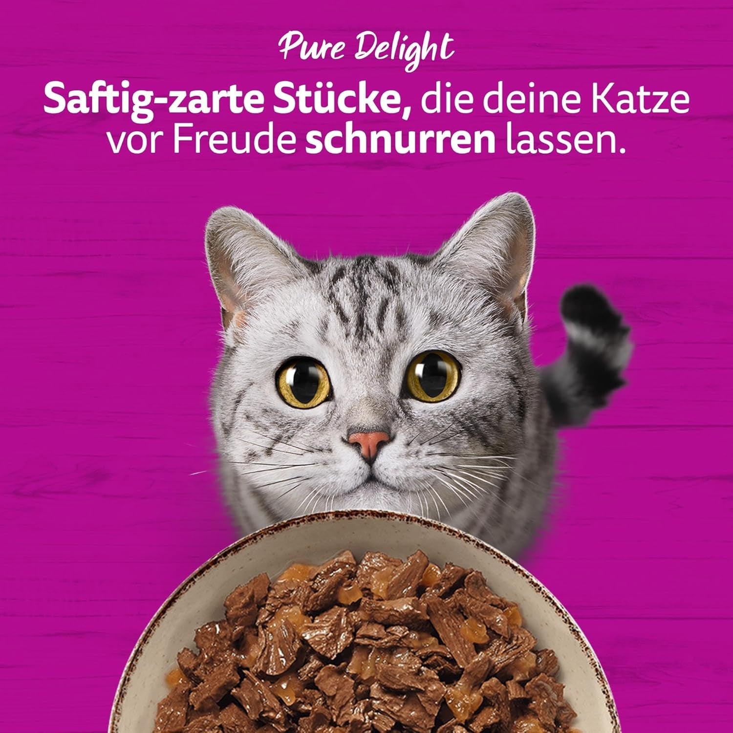 WHISKAS PURE DELIGHT Aliment humide en gelée 24 x 85g Ragoût Classique (4 paquets) 48 sachets portionnés