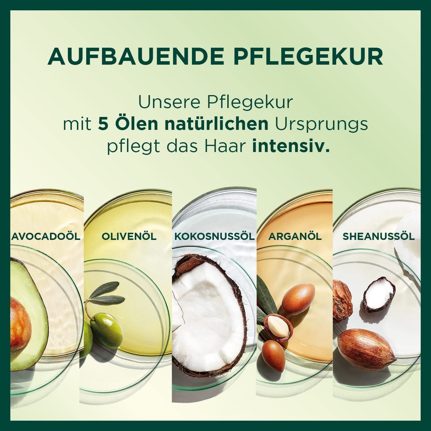 Garnier Nutrisse Coloration permanente pour cheveux aux huiles de fruits nourrissantes Tenue 8 semaines Couleur Ultra Crème Teinte 053 Brun velours (paquet de 3) Naty Shop Coloration capillaire
