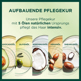 Garnier Nutrisse Coloration permanente pour cheveux aux huiles de fruits nourrissantes Tenue 8 semaines Couleur Ultra Crème Teinte 053 Brun velours (paquet de 3) Naty Shop Coloration capillaire