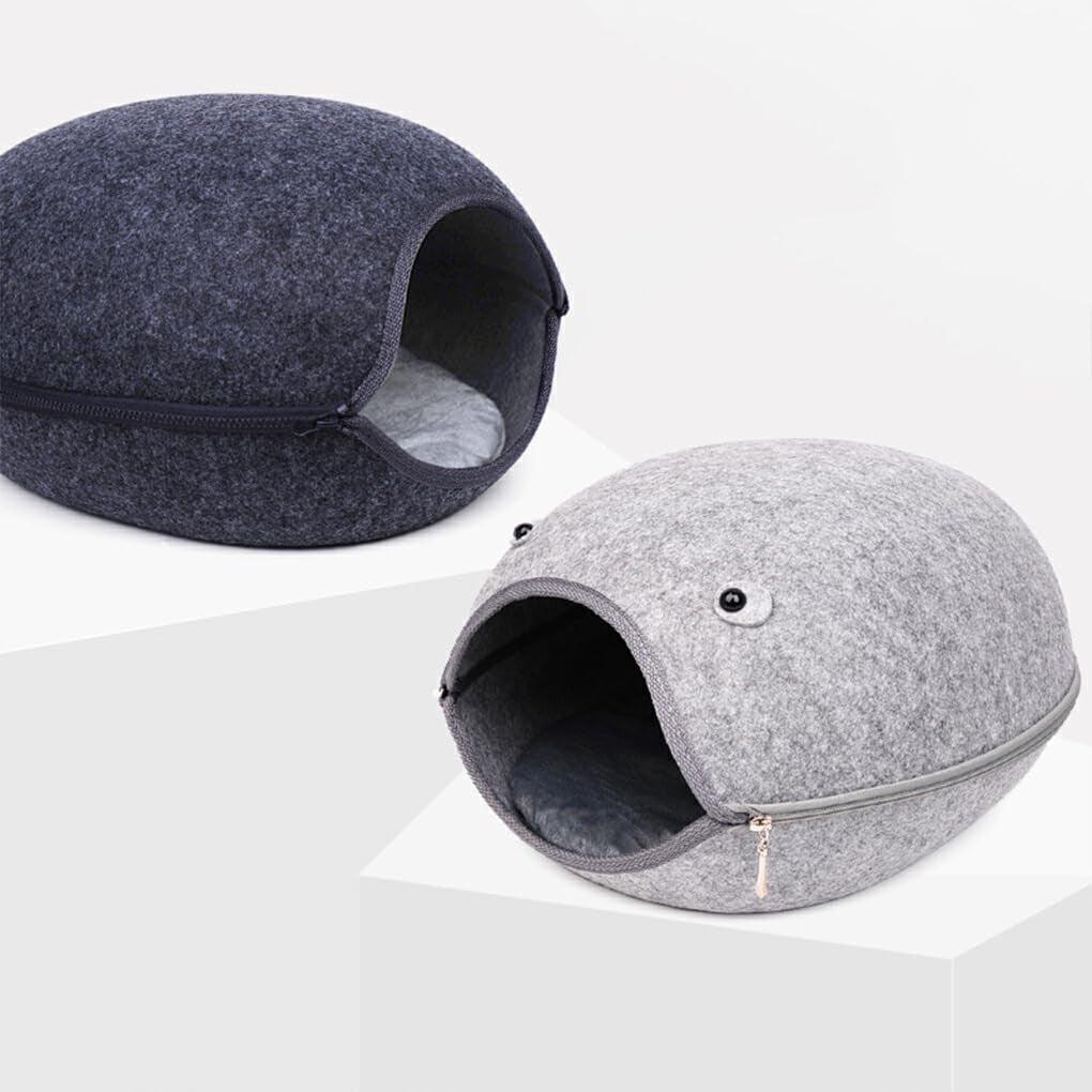 Animaux de compagnie, chiens, apprentissage de la propreté, couches et protecteurs de sol
