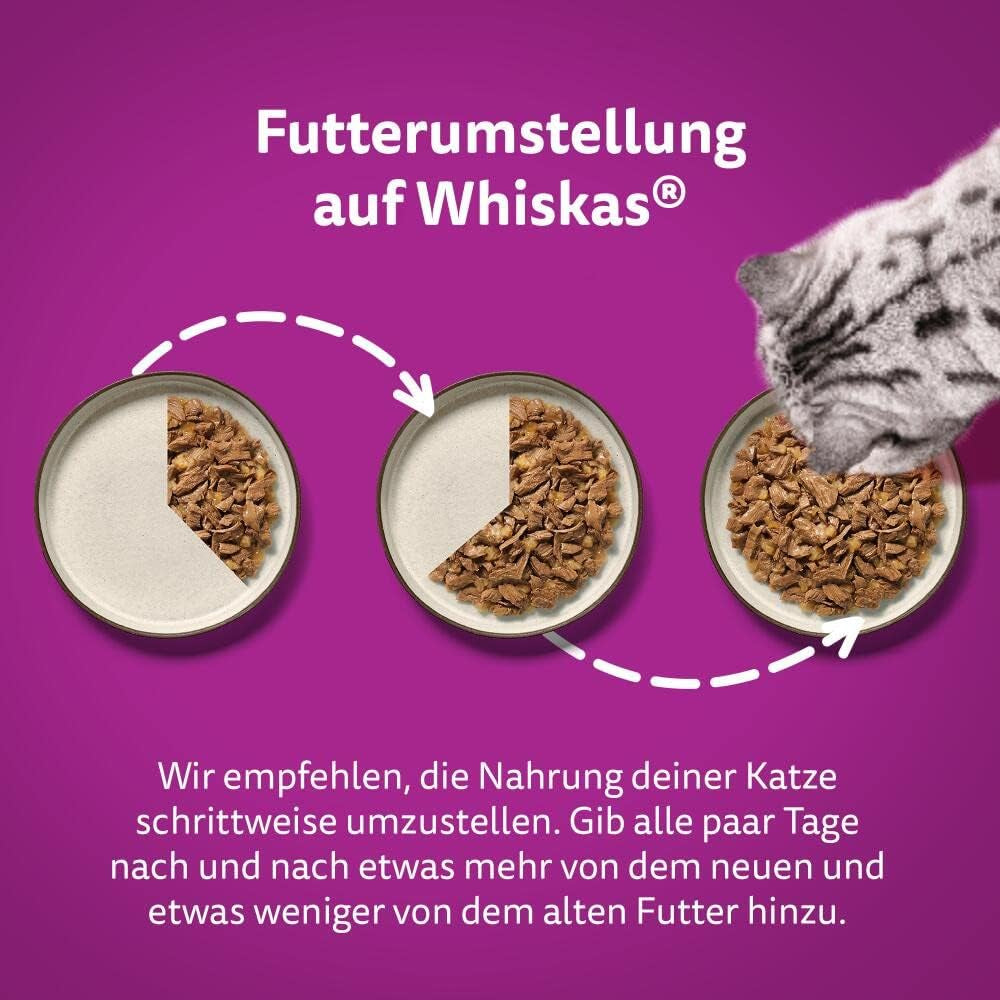 Whiskas 1+ nourriture humide pour chats au poulet en gelée, 28x85g (1 paquet) - Nourriture humide de haute qualité pour chats adultes en sachets de 28 portions