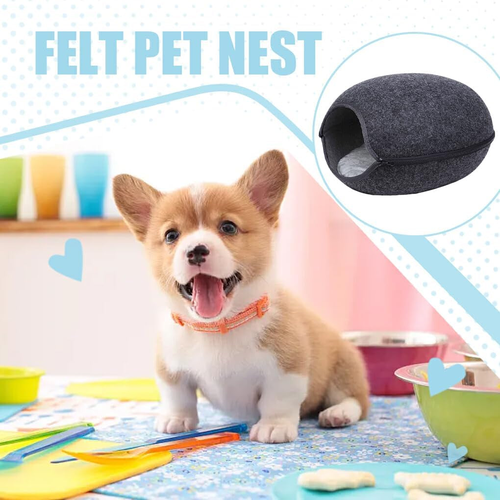 Animaux de compagnie, chiens, apprentissage de la propreté, couches et protecteurs de sol