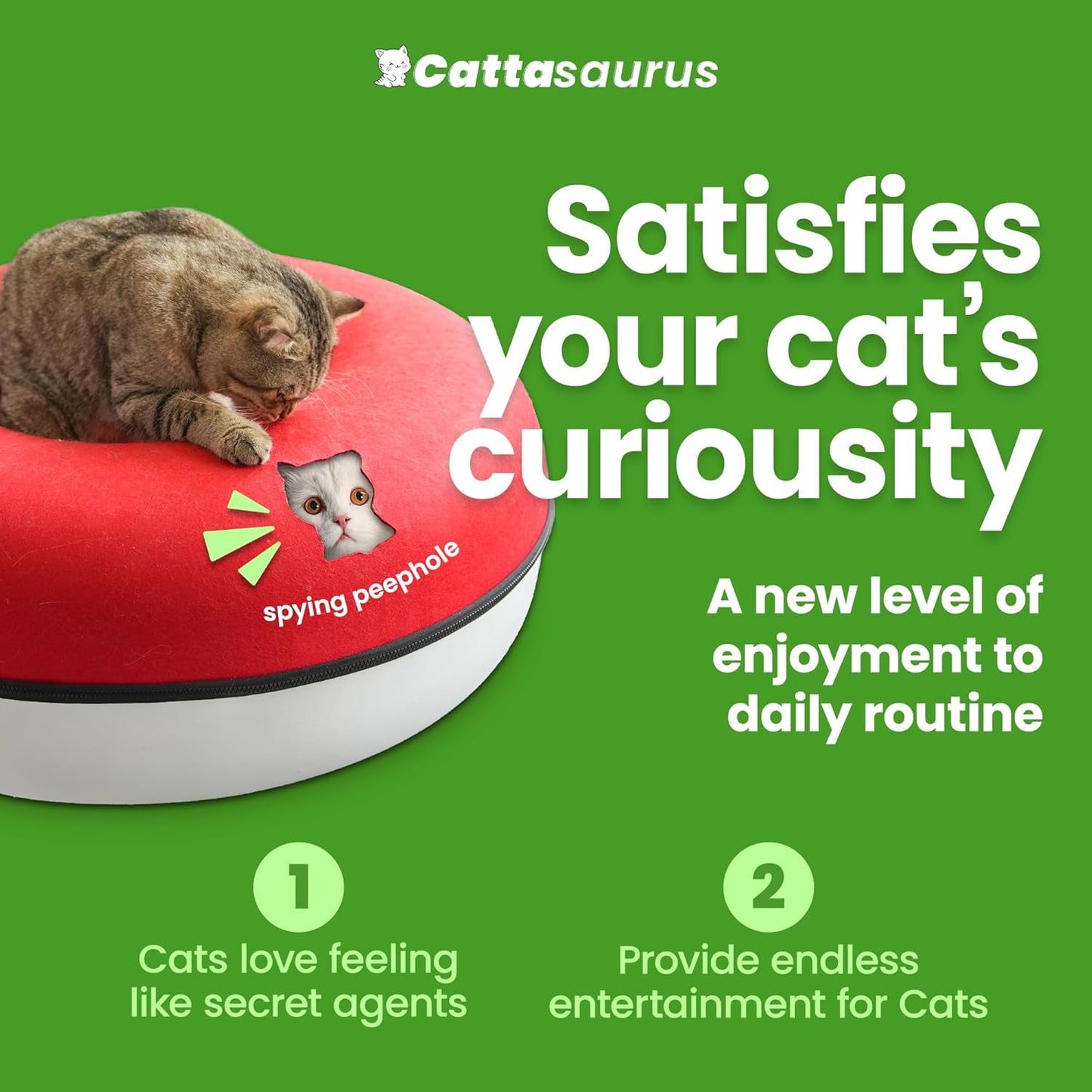 Couvertures et meubles, Animaux, Grottes et maisons, Chats, Lits pour chats, Chats - lits, matelas