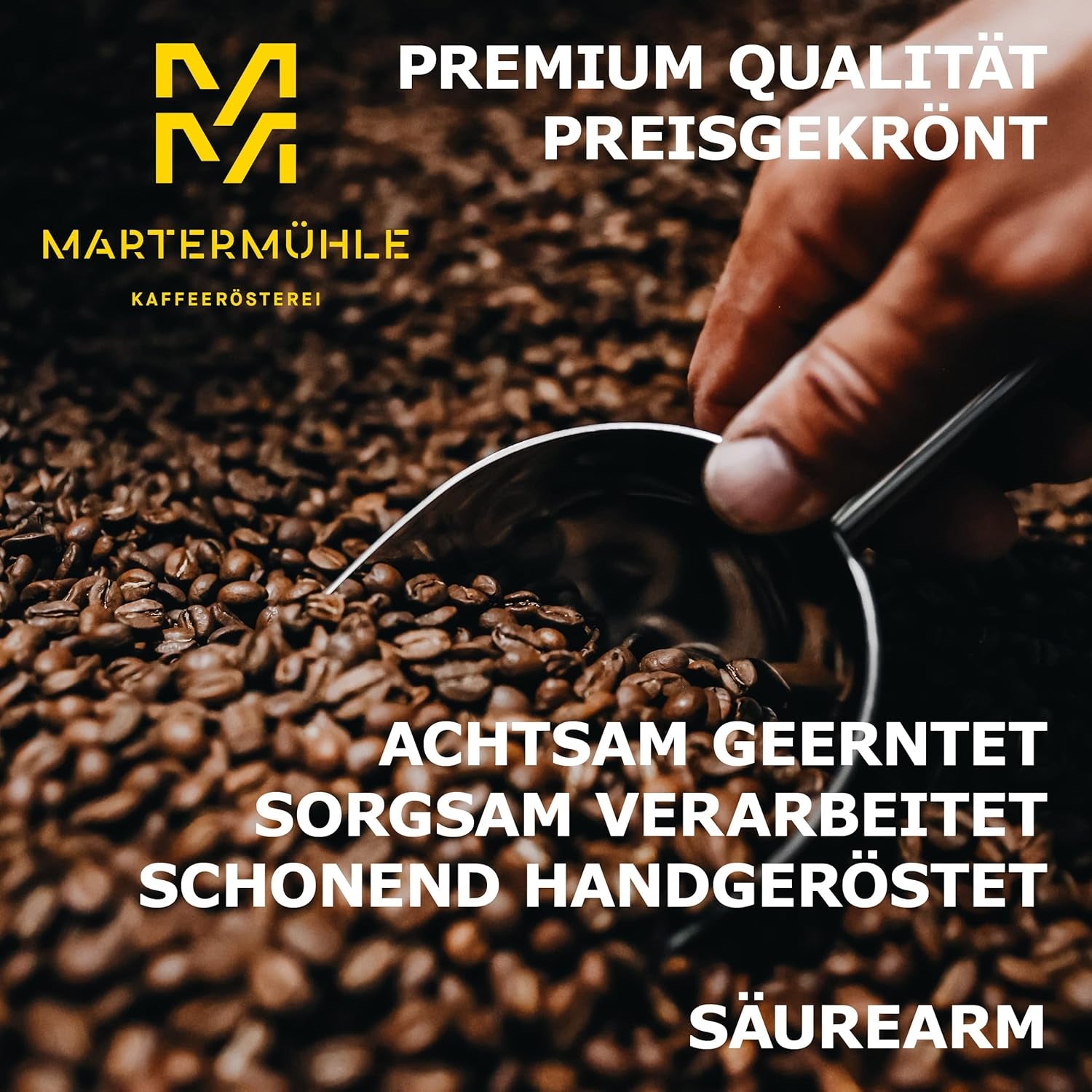 Martermühle coffret d'échantillons de grains de café bio 3x250g force légère/moyenne I Arabica I Grains de café bio entiers légèrement torréfiés, faible acidité (68/74/426)