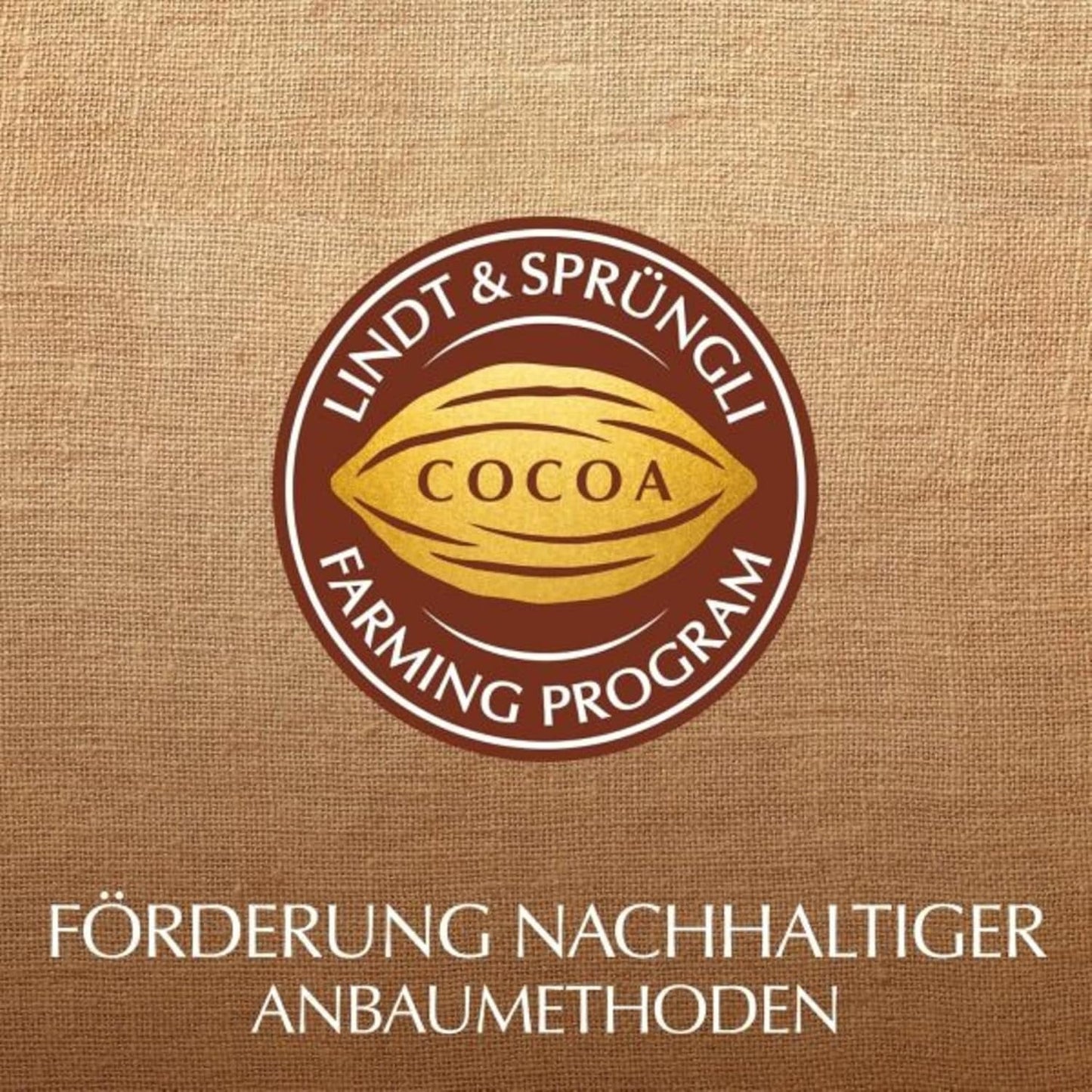 Chocolat Lindt du cœur | 30g | 6 pralines au Marc de Champagne, Coeur à l'Orange, Croustillant de Chocolat au Lait, Massepain Orange dans une jolie boîte en forme de coeur | Cadeau de chocolat | Cadeau chocolat