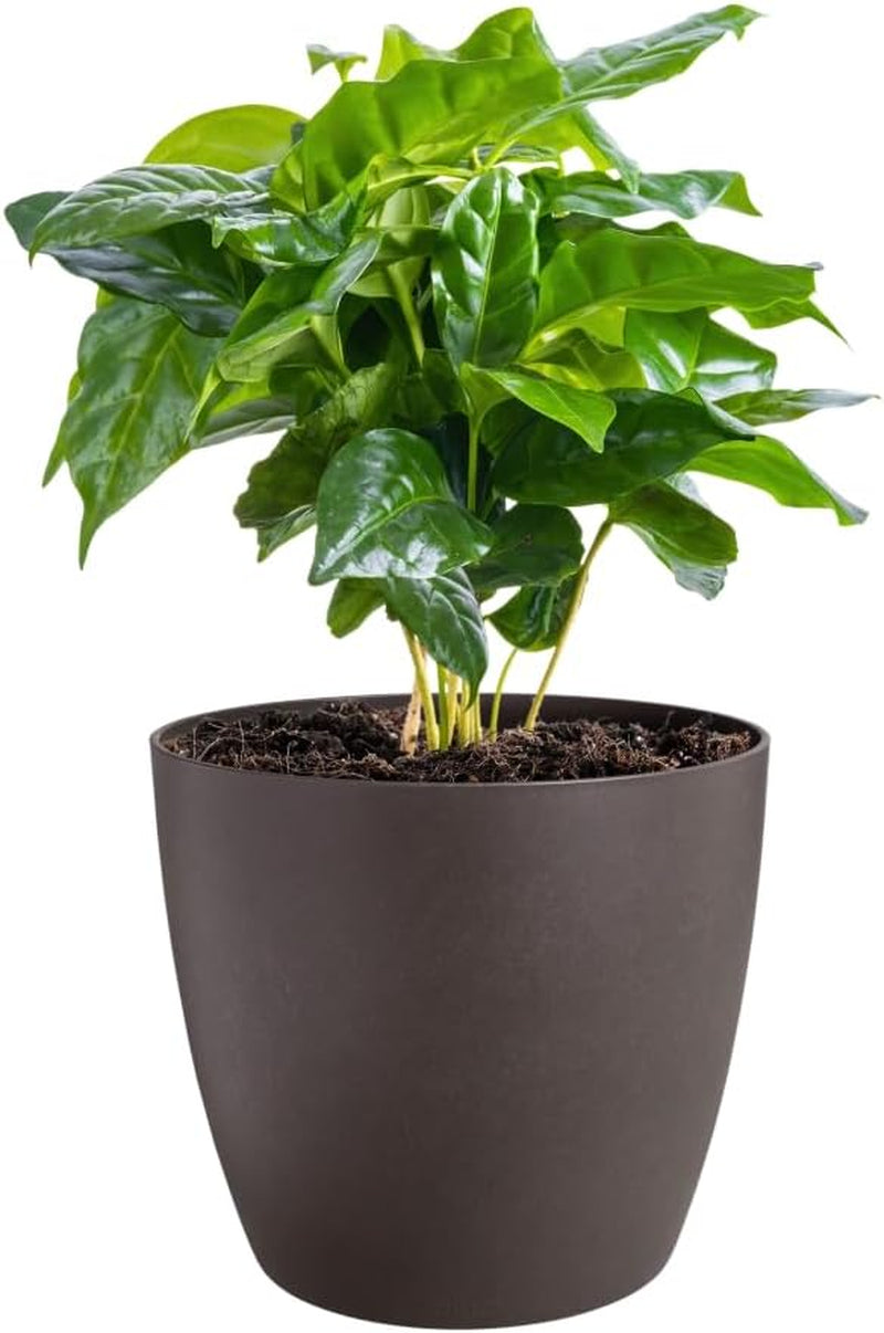elho The Coffee Collection, pot d'intérieur rond, 18 cm, en marc de café et plastique recyclé - marron/marron expresso