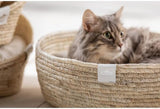 Lits, couvertures et meubles, animaux, chats, lits pour chats, Chats - lits, matelas