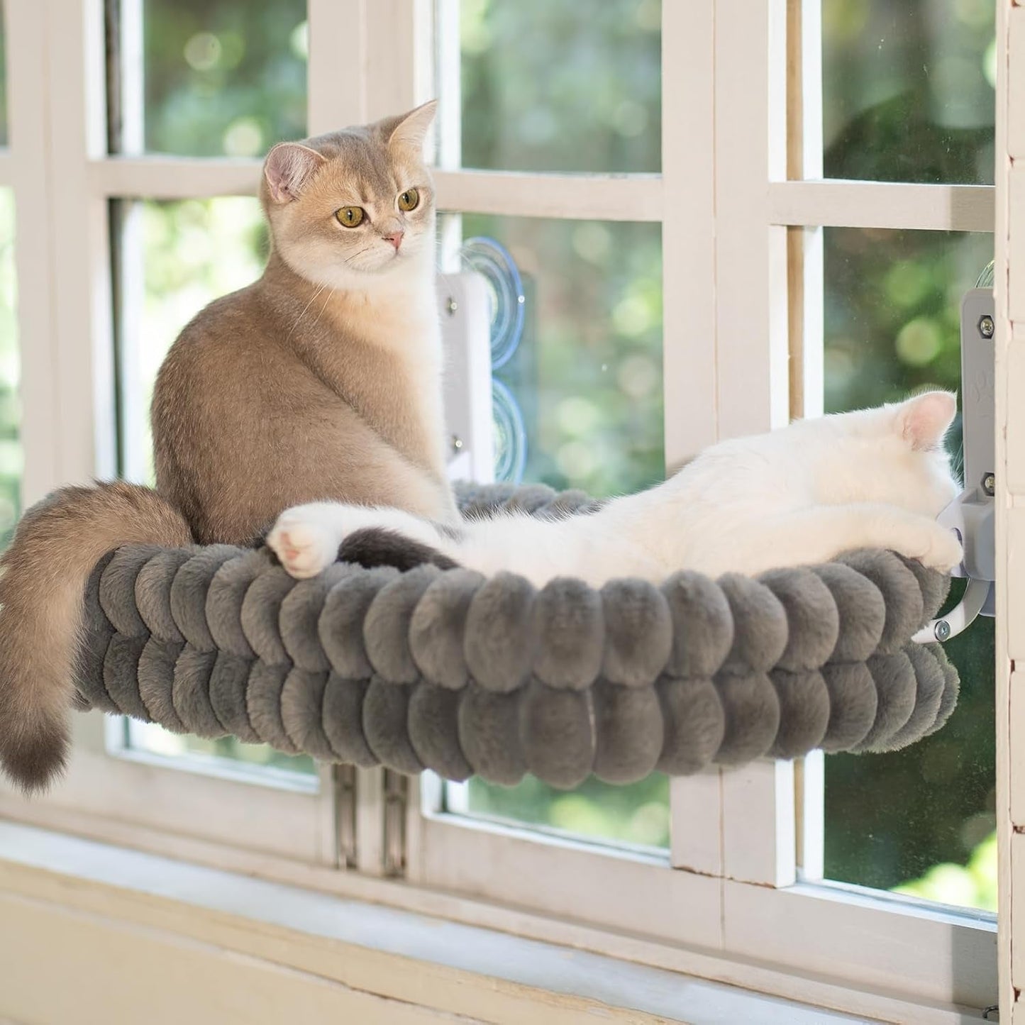 Lits, couvertures et meubles, animaux, chats, lits pour chats, Chats - lits, matelas