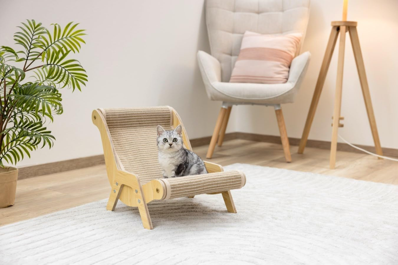 Couvertures et meubles, Animaux, Chats, Lits pour chats, Griffoir, Chats - lits, matelas