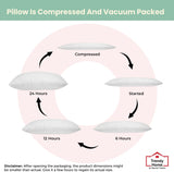 Coussin décoratif tendance pour la maison, soutien lombaire hypoallergénique, pour la maison, l'extérieur, le canapé, lavable en machine, 12 "x 20"