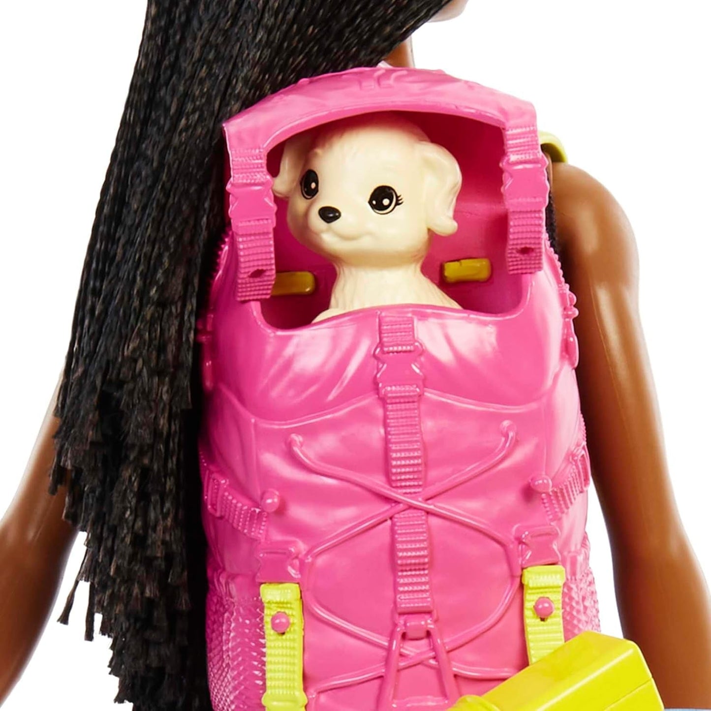 Barbie HDF74 Lot de 2 poupées ! Brooklyn Camping Doll (Brunette avec nattes tressées, env. 29 cm) avec chiot, sac à dos, sac de couchage, 10 accessoires de camping, cadeau pour les enfants à partir de 3 ans