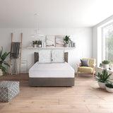 Ensemble d'oreillers Traumnacht Green Basic composé de deux oreillers 80 X 80 Cm, certifiés Oeko-Tex, produits selon la norme de qualité allemande Naty Shop oreillers standard 80 X 80 Cm